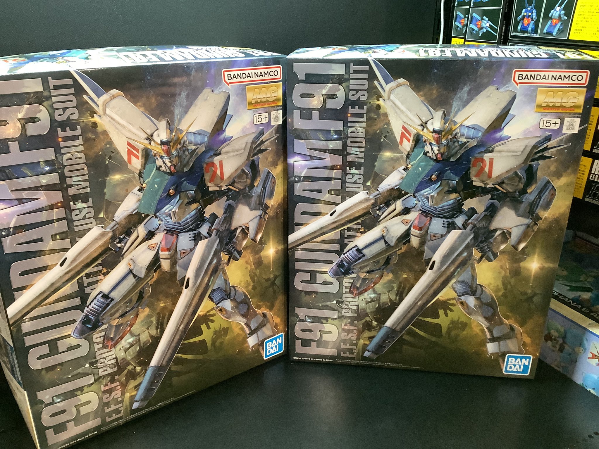 MG 2点セット ガンダムF91 Ver.2.0 / リ・ガズィ・カスタム