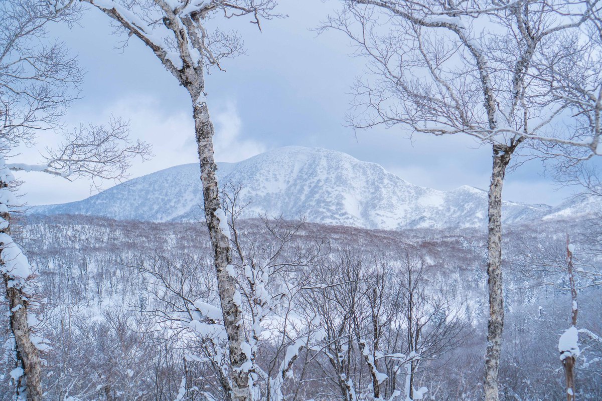 adexnoboribetsu's tweet photo. Here are some pictures taken on our snowshoe tours this winter. It’s very beautiful in Noboribetsu in wintertime. 😊
https://t.co/QAaSsYOjgS
#adexbase #adexnoboribetsu #hokkaido #hokkaidotrip #japan #tour #アドベンチャートラベル #北海道 #登別 #日本
#イマソラ #スノーシュー #雪 https://t.co/vlQDXl6NSO