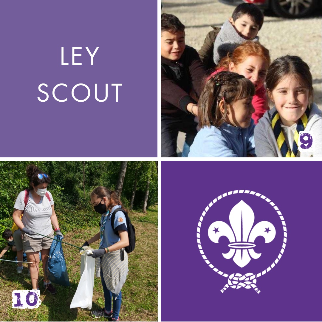 scout_es's tweet photo. 9️⃣ La persona scout es trabajadora, austera y respeta el bien ajeno.🛠️
1️⃣0️⃣ La persona scout es limpia y sana; pura en sus pensamientos, palabras y acciones.🪥🍎
¡Hoy ponte tu pañoleta scout y muestra al mundo tu mejor versión!
#DíadelFundador #scoutingforward https://t.co/mreIdnnMgO