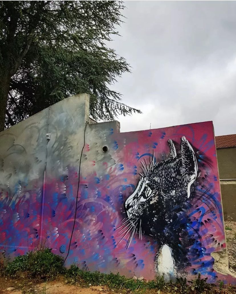 TheRomanLegion_'s tweet photo. Caturday - the inimitable C215 in Rochre-La-Moliere, France 
(Photo by Artist). https://t.co/2Fz1zC48xW