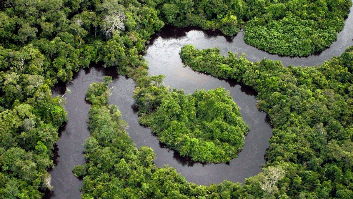 La1_tve's tweet image. 💧El 12 de febrero de 1542 Francisco de Orellana realizó la primera exploración del Amazonas, el río más caudaloso del mundo 

Te contamos la historia en #AhoraONunca 

rtve.es/n/15966159
