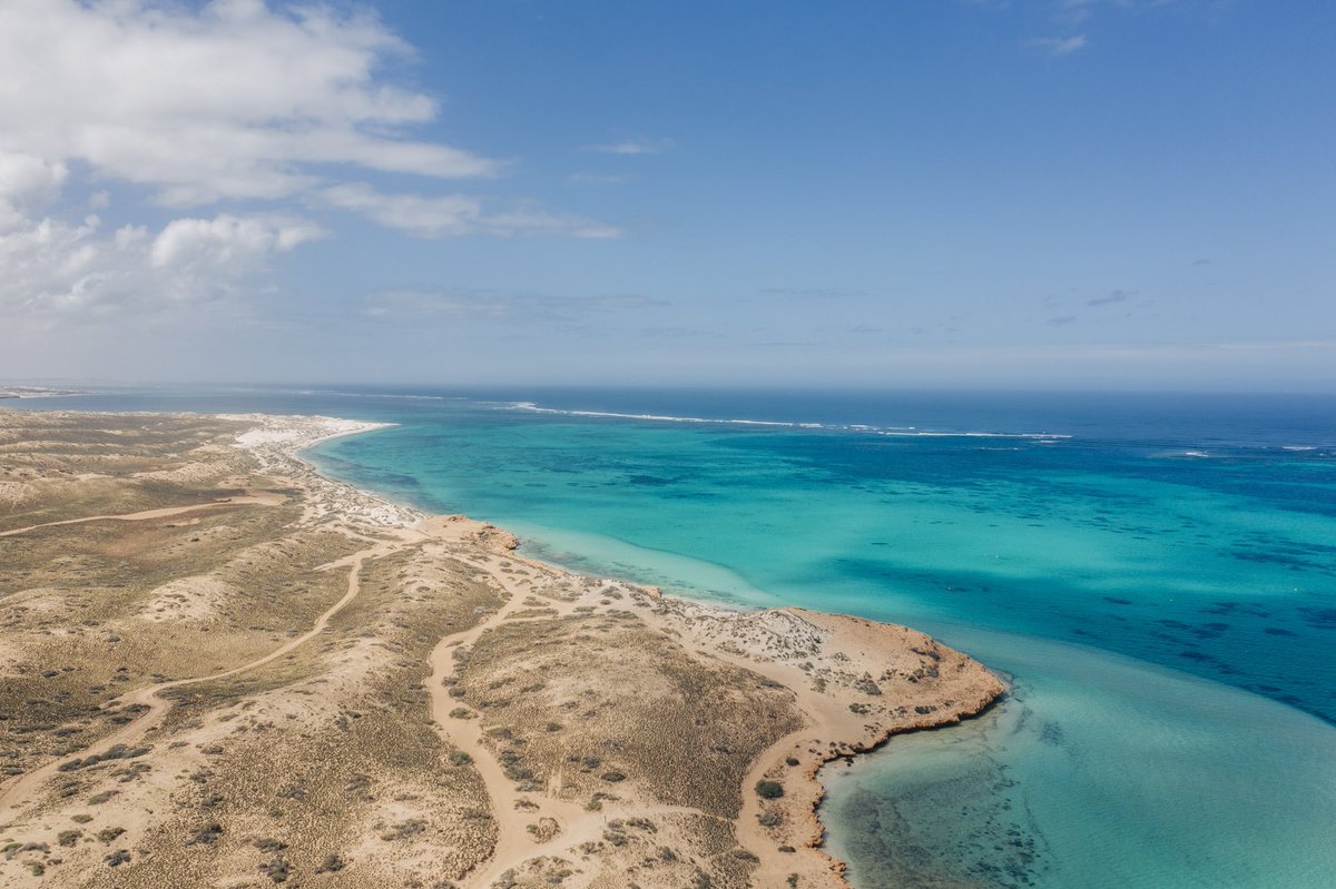 Joining forces with @uwaoceans, @IMOS_AUS & @Aqualinkorg to anticipate potential marine heatwaves and bleaching events before they occur. Dive into real-time wind, wave, water and weather data now available thanks to @ExmouthResearch 🌊 👉 bit.ly/3Tb3rG8