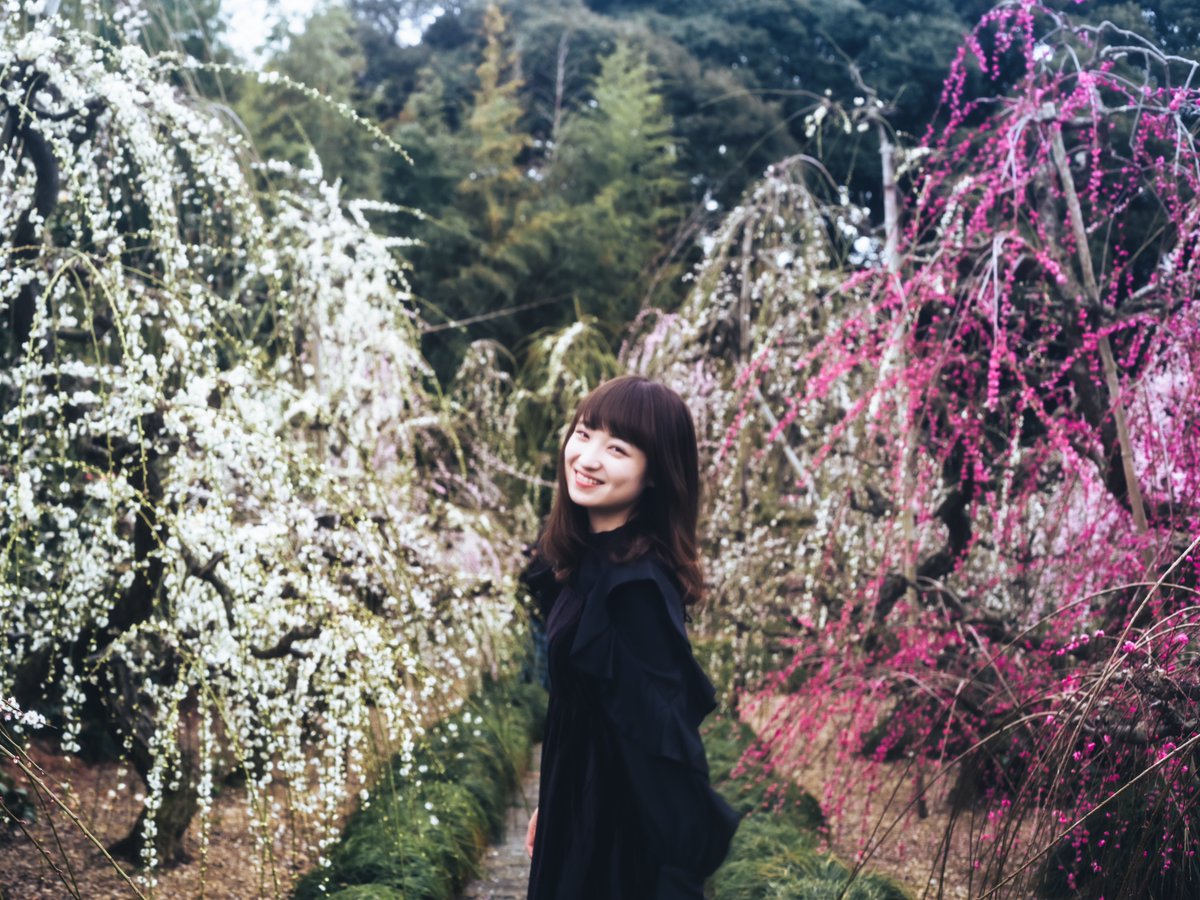 Shirousa_uto's tweet photo. 花が綻び君は笑う。 https://t.co/jslcQrSDWr
