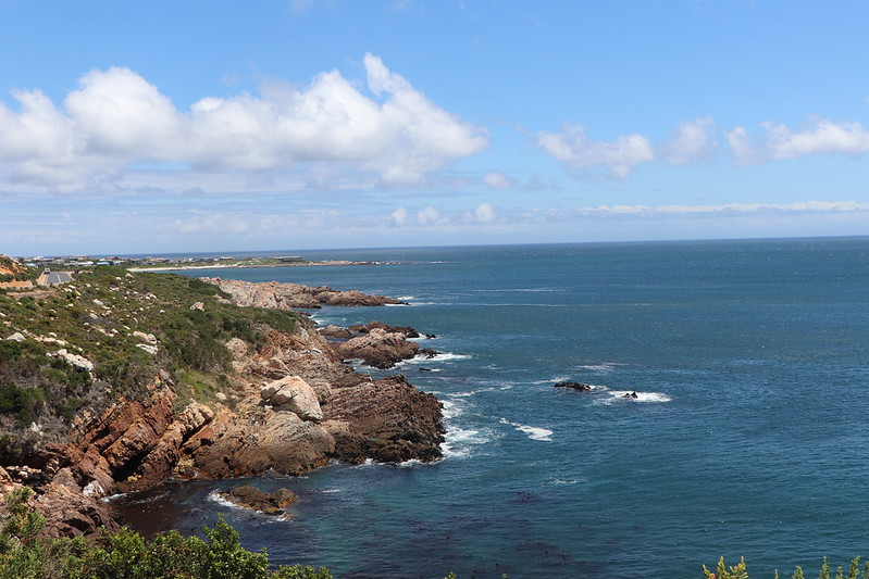 SANBI_ZA's tweet image. Rocky intertidal shores are among the most charismatic, colourful, accessible and interesting ecosystems in South Africa. They vary with region, wave exposure, rock type and sand cover, resulting in many different ecosystem types and species
#SANBI4Nature #biodiversityforlife