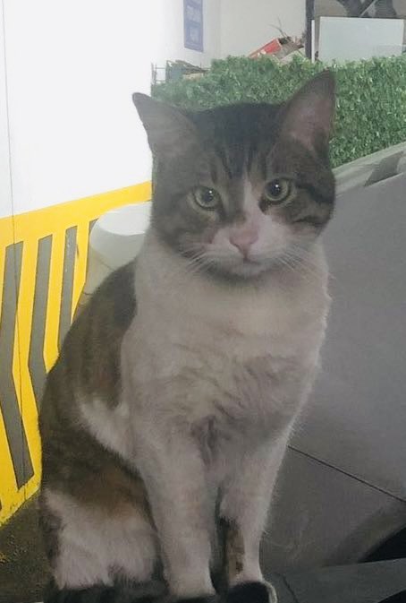 Ben Eros beni ve arkadaşlarımı unutmayın.

#ibrahimkeloğlantutuklansın