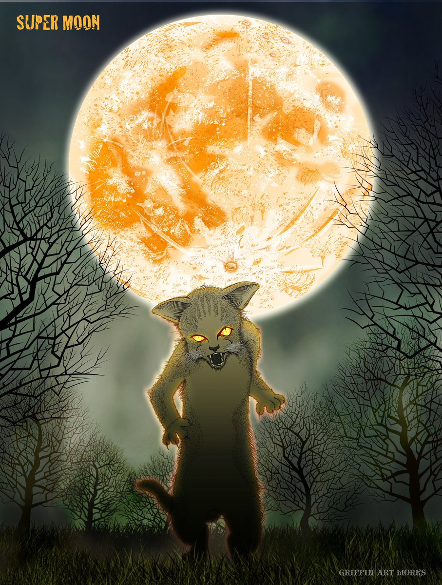 #猫の日 
色んなタッチのネコ〜ズ
#イラスト #illustration 