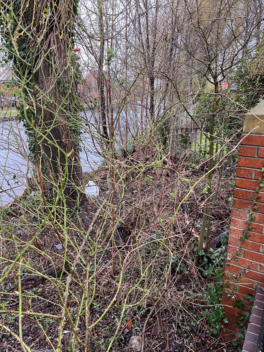 GavinS73's tweet photo. @ovhousing @seftoncouncil  please investigate tenant behaviour in Garden view apartments L20 Bootle to find out which residents are flytipping over the back wall onto the canal. Evidence attached. After @CanalRiverTrust cleared up this week, 2 bags already thrown over the wall. https://t.co/DAoPm6RrWt