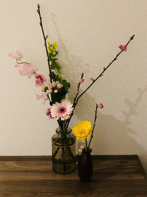 「植木鉢 花瓶」のTwitter画像/イラスト(新着)