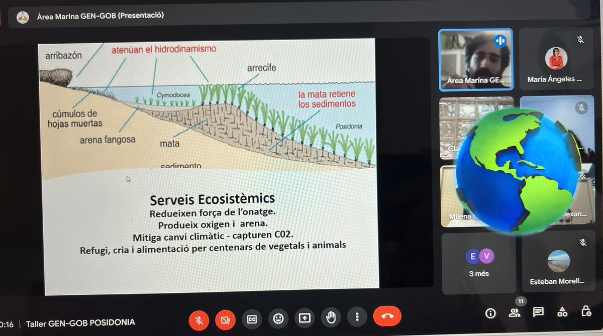 Esteban Morelle-Hungria 🌻🦎🦍🌍🐋🐬 에스테반 tweet media
