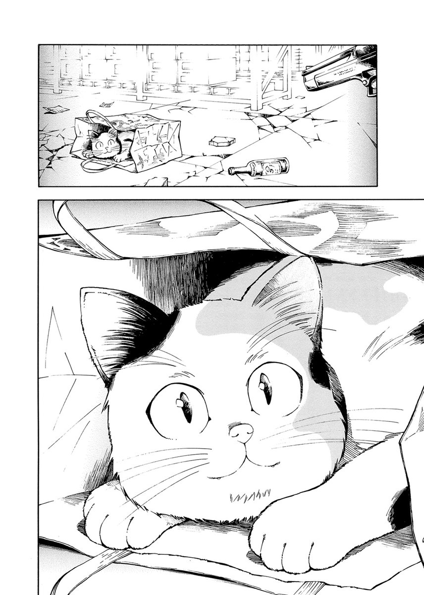 (2/3) 