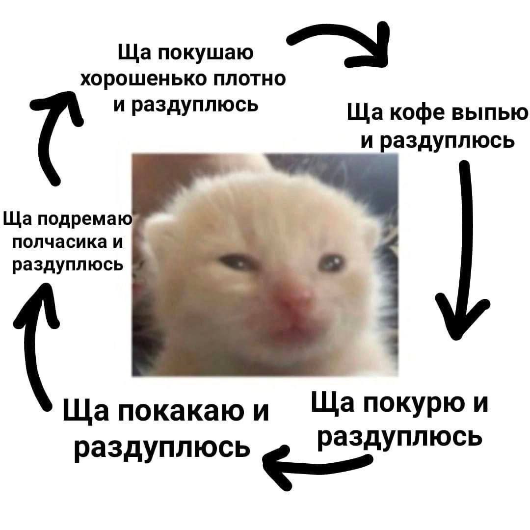 DantesDmitriy's tweet photo. https://t.co/v5RSGKxDPy