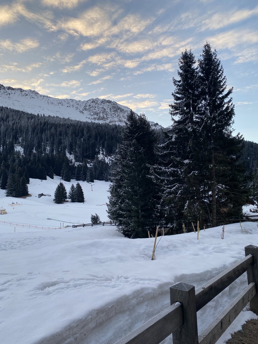 Stefan Hauser tweet media