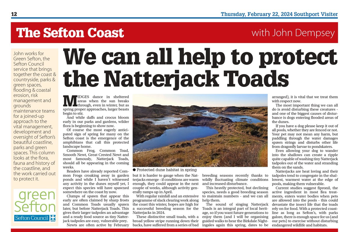 Green Sefton (@greensefton_) on Twitter photo If you missed the #Sefton Coast column in the Visiter this week, you can read it online here:
facebook.com/greensefton
<a href="/seftoncouncil/">Sefton Council</a> <a href="/ARC_Bytes/">Amphibian and Reptile Conservation</a> <a href="/NorthMerseyARG/">North Merseyside Amphibian & Reptile Group</a> <a href="/NTFormby/">National Trust Formby</a> <a href="/NENorthWest/">Natural England North West</a> <a href="/Lancswildlife/">Lancashire Wildlife Trust</a> <a href="/RSPB_Ribble/">RSPB Ribble Estuary</a> If you missed the #Sefton Coast column in the Visiter this week, you can read it online here:
facebook.com/greensefton
<a href="/seftoncouncil/">Sefton Council</a> <a href="/ARC_Bytes/">Amphibian and Reptile Conservation</a> <a href="/NorthMerseyARG/">North Merseyside Amphibian & Reptile Group</a> <a href="/NTFormby/">National Trust Formby</a> <a href="/NENorthWest/">Natural England North West</a> <a href="/Lancswildlife/">Lancashire Wildlife Trust</a> <a href="/RSPB_Ribble/">RSPB Ribble Estuary</a>