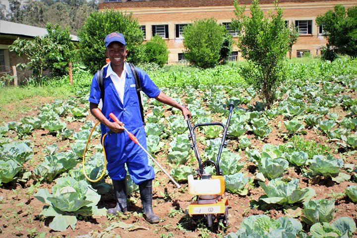 Do you want to: * be a hero and help prevent the next food crisis? * produce your own food and help your community produce more food? * have your own business and become a millionaire? * help provide jobs for young people? You can do all these if you go into #agricoolture!