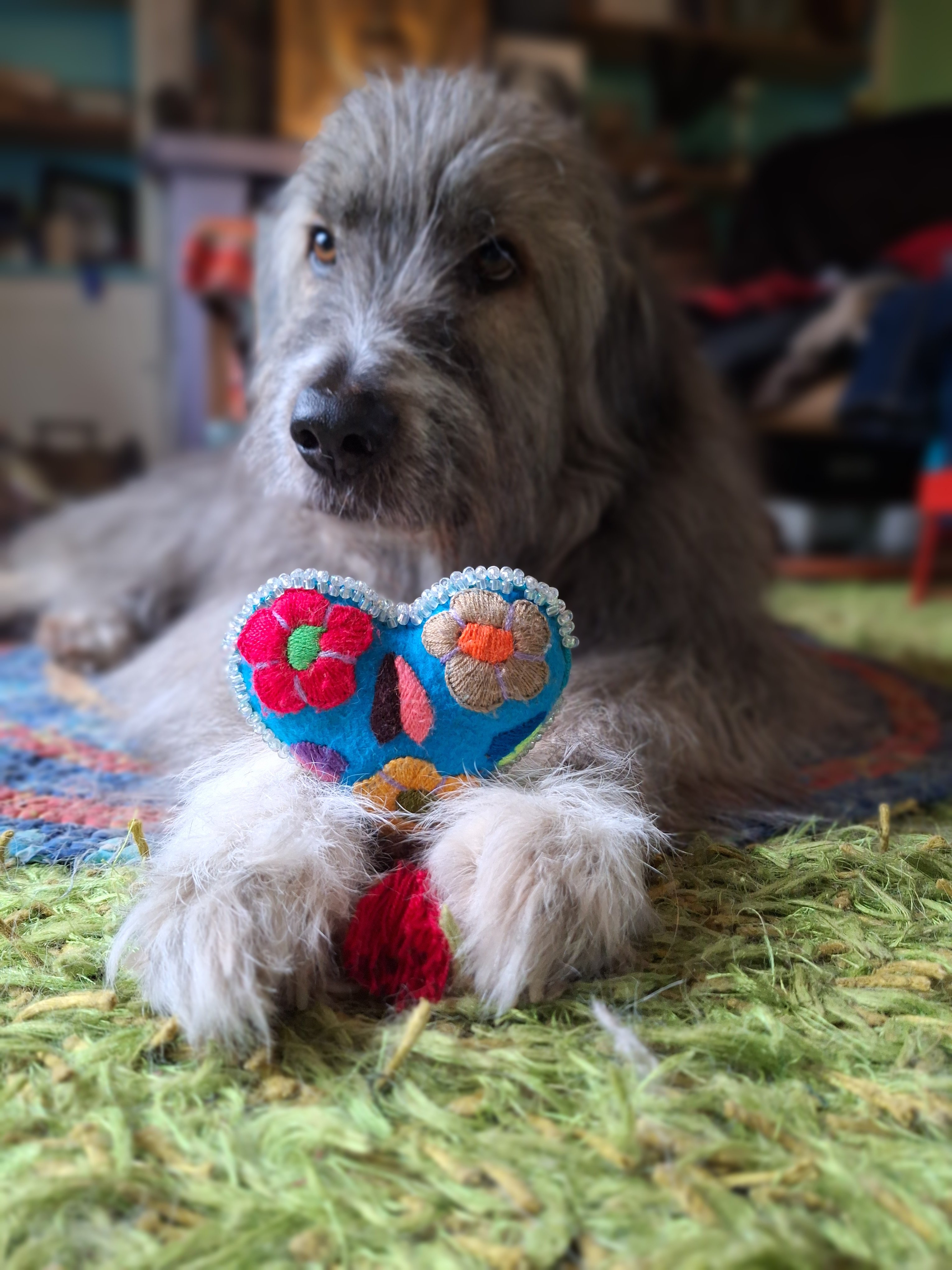 Kratu dog breed 2025