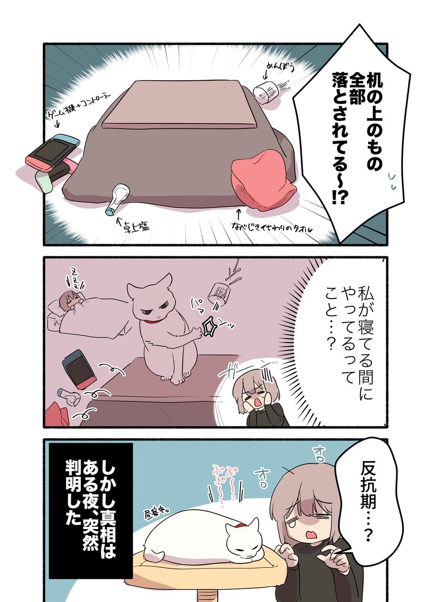 甘えんぼ猫が反抗期を迎えたかもしれない話
(2/2)
#猫の日2024
#漫画が読めるハッシュタグ
#愛されたがりの白猫ミコさん コミックス発売中です👇
https://t.co/946gcriaEO