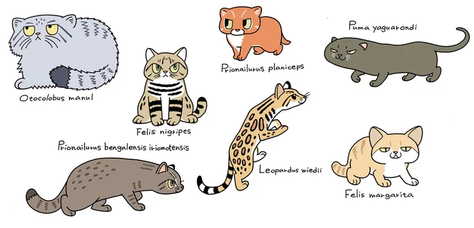 #猫の日 