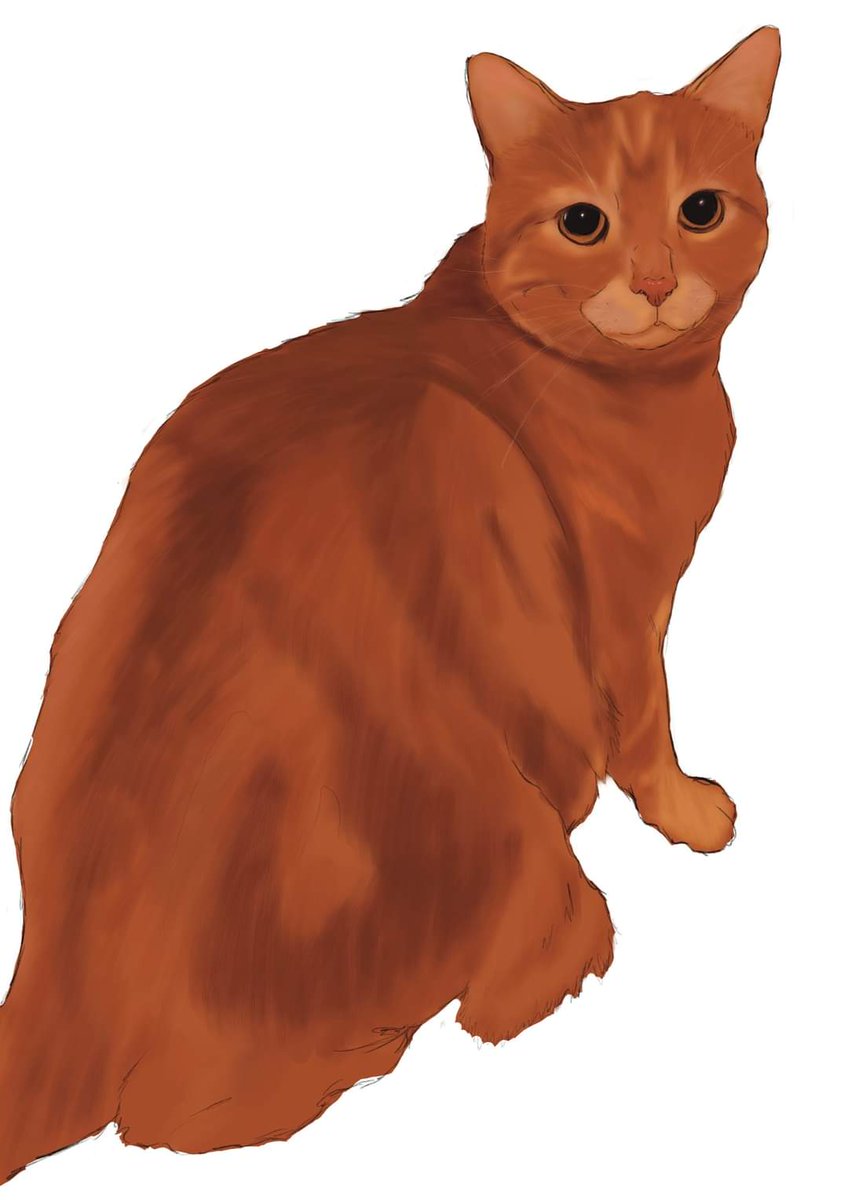 amintybadger's tweet photo. A quick painting of this boy for a friend

#cat #art #procreate #illustration #digitalart #artist #kitty https://t.co/0ydg2C9V5W