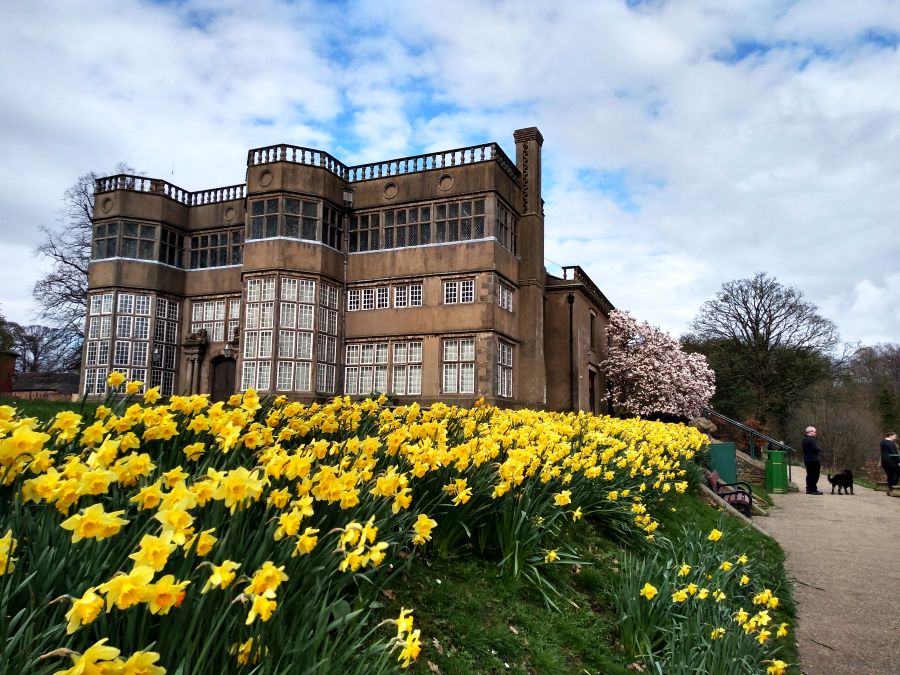 CHORLEY.
Daffodils in Astley Park.
#Chorley #AstleyPark #daffodils