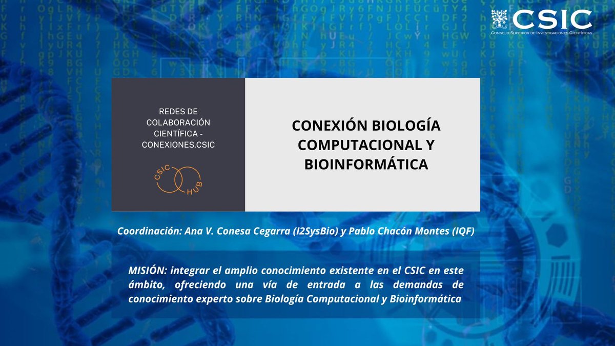 📢El @CSIC presenta en Valencia la nueva #Conexión @BCBHubCSIC que permitirá conectar científicos, métodos y recursos para desarrollar #estrategias de excelencia en el manejo de grandes #datos. ¡Puedes ver la grabación! 📹 rb.gy/92omva #BCB #Bioinformática