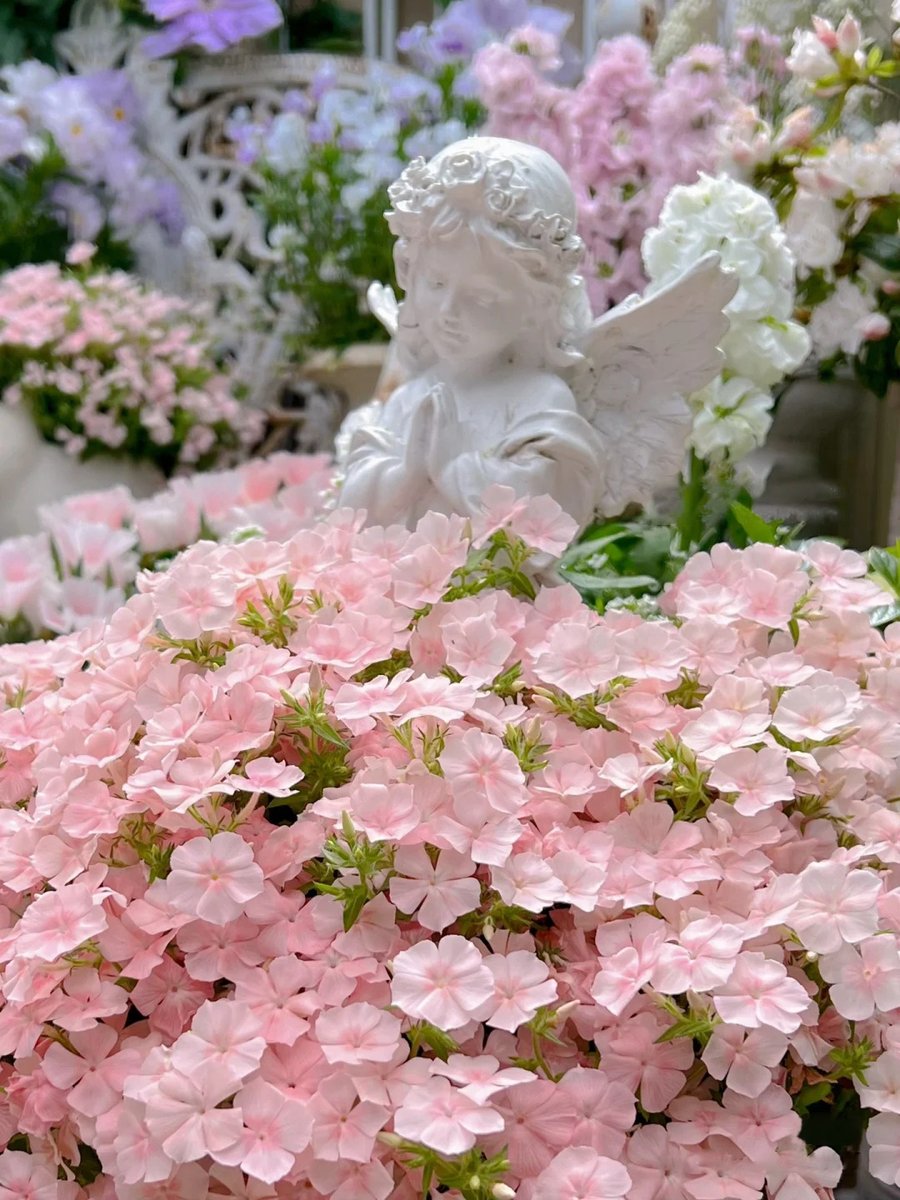 🌿🌼🧺 (@peacozy) on Twitter photo 