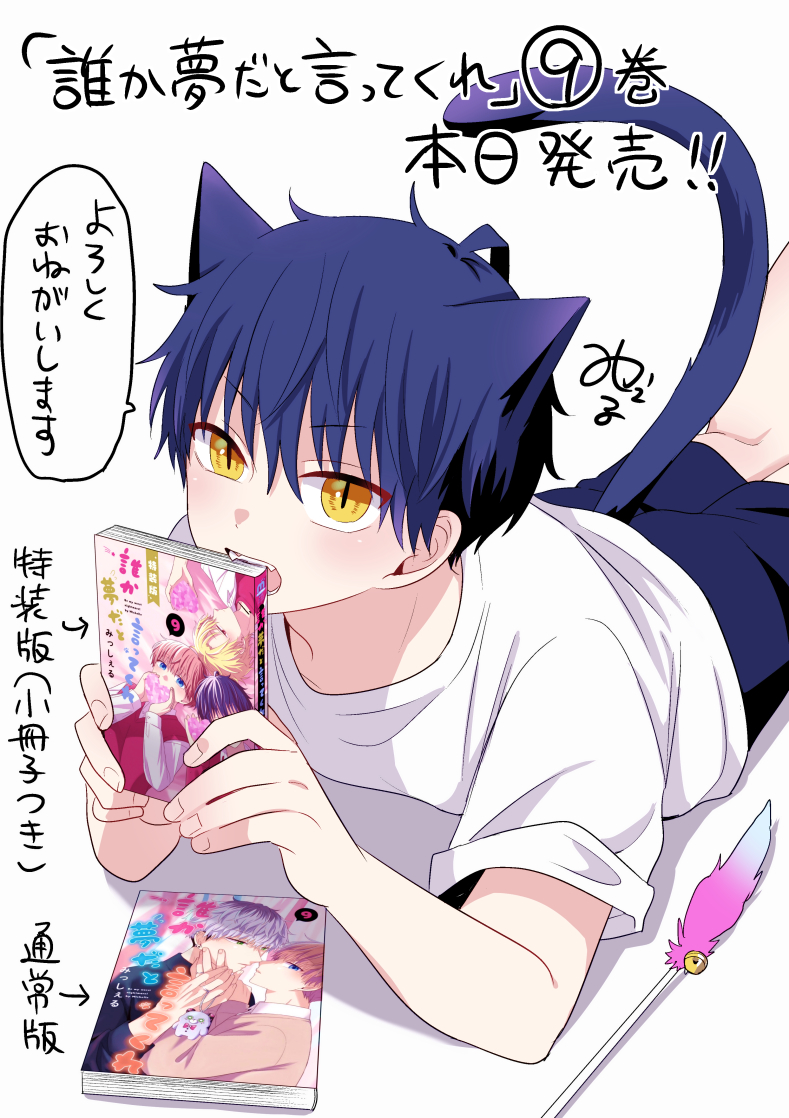 誰か夢だと言ってくれ　みっしぇる 全巻 特典 特装版 リーフレット 小冊子 誰か夢だと言ってくれ みっしぇる 全巻 特装版 特典