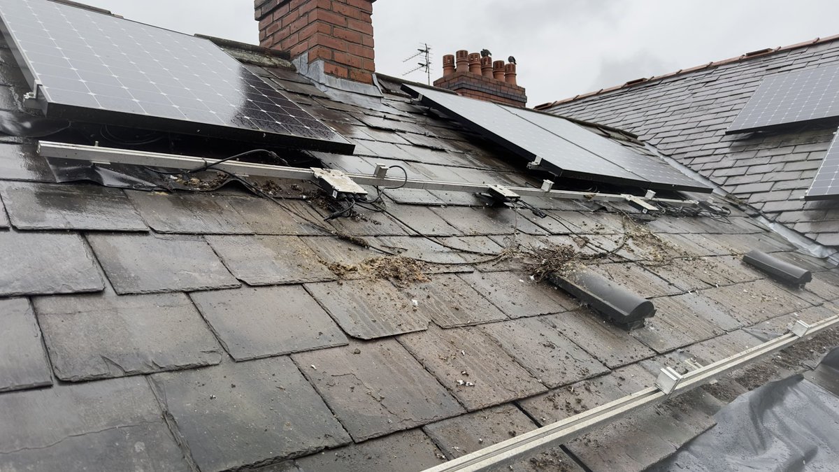 Red Co-operative tweet media