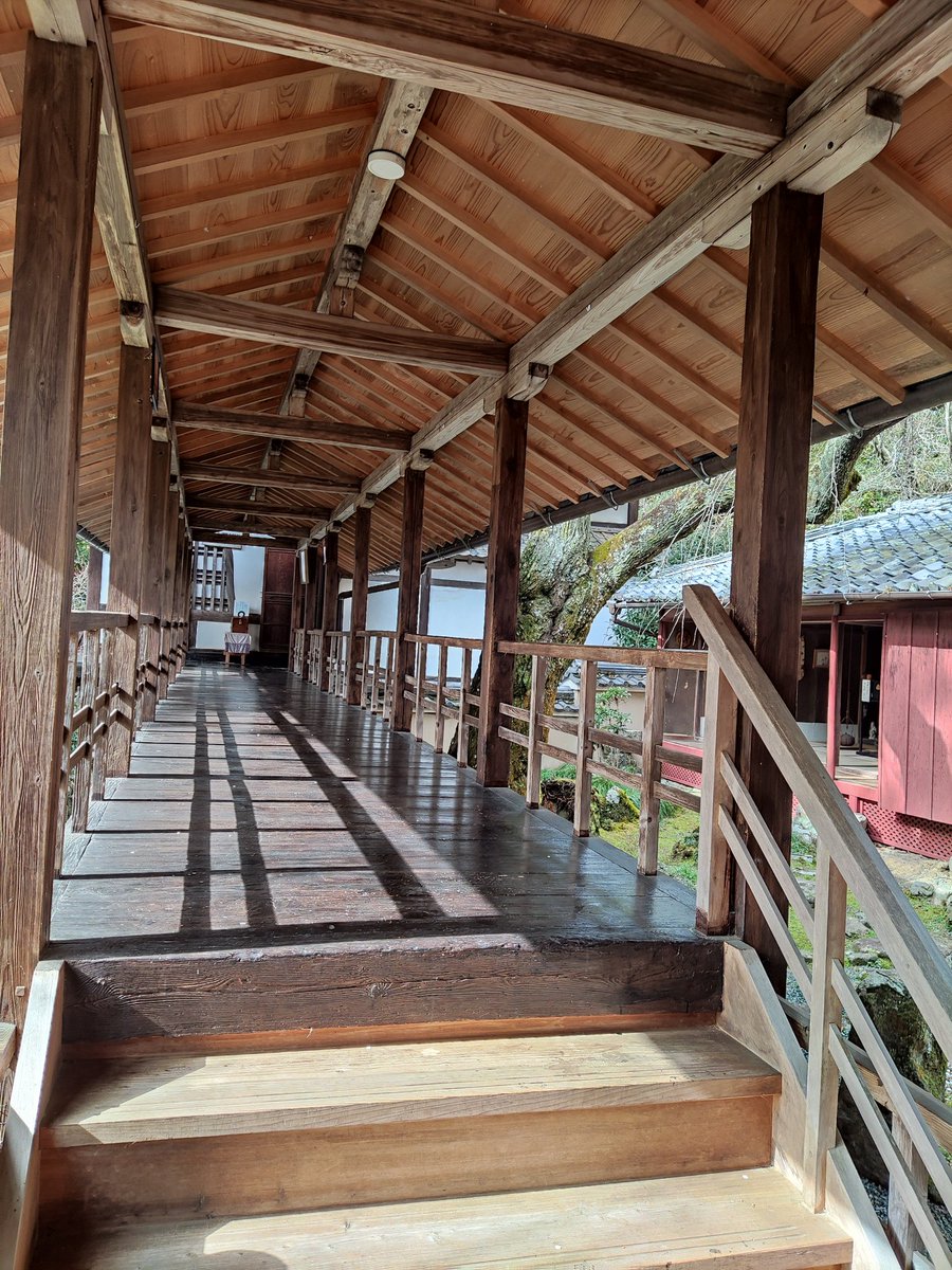 kuroneko3nya's tweet image. #猫の日
#看板ねこ
序音(ジョネ)ちゃん💕18才