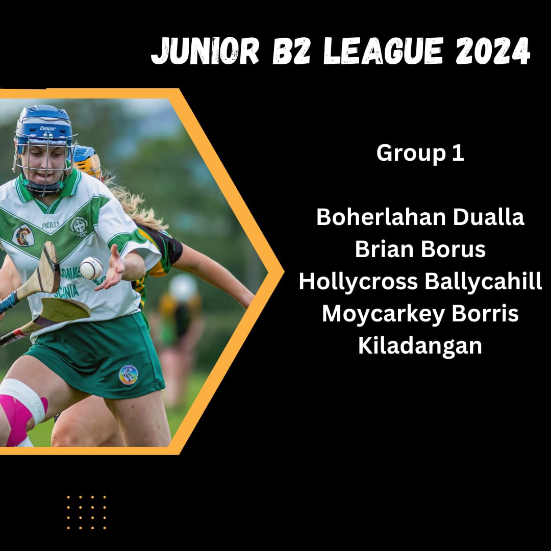 Kiladangan junior B2 league grouping for 2024.<a href="/camogietipp/">Tipperary Camogie</a>