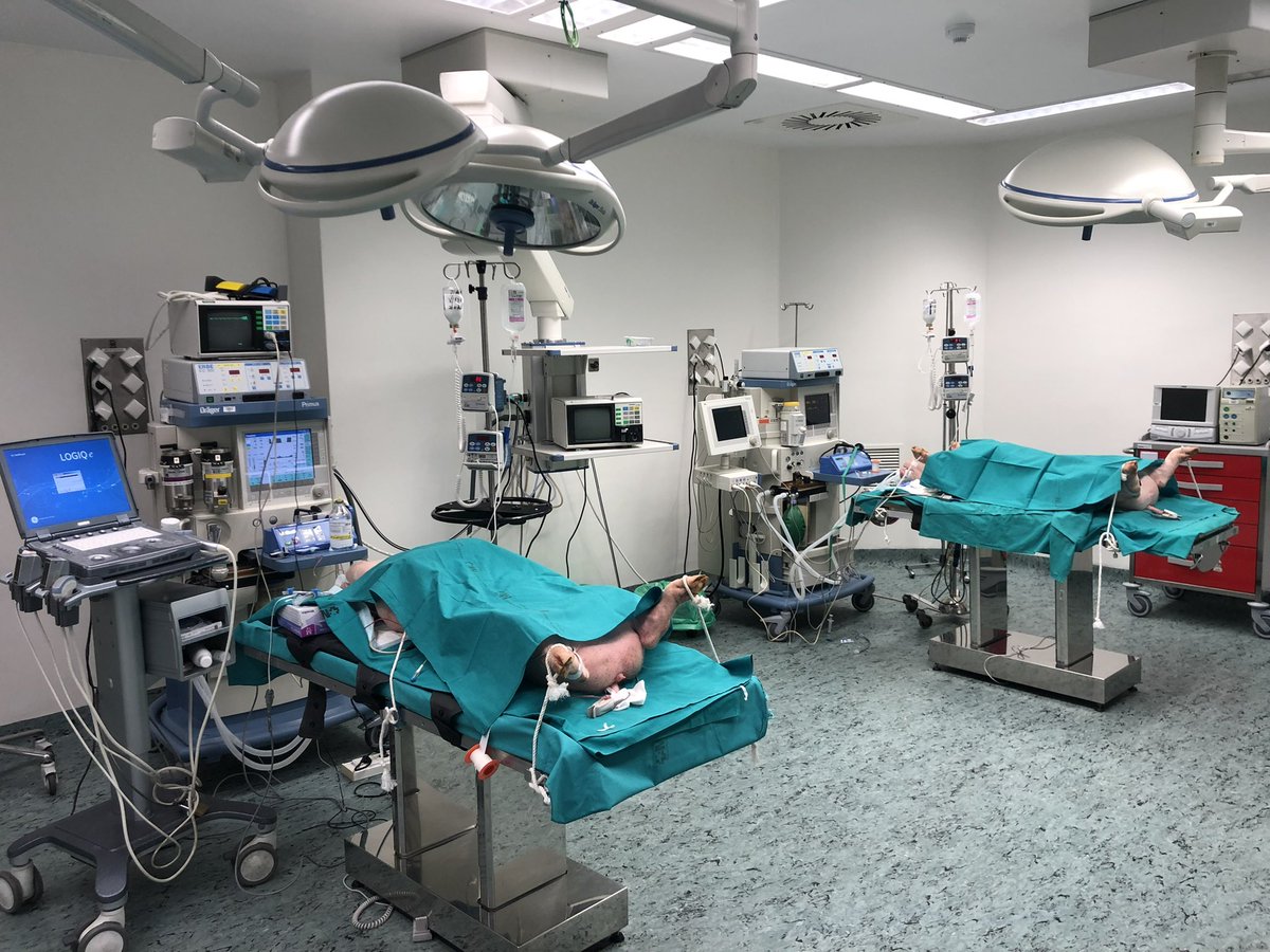 Medicina Interna - La Paz 🩺 (@interna_lapaz) on Twitter photo #MIR24 #2MIR24
¿Ecografía en Medicina Interna - La Paz? 🏥
Encuentra equipos de todas las gamas, formación, simulación avanzada, rotantes, investigación… 🙌
Si tienes cualquier duda escríbenos a 📬: medicinainternalapaz@salud.madrid.org
#somosHulp <a href="/jrarribas/">Jose R Arribas</a> <a href="/JJRiosBlanco/">Juan José Ríos</a> #MIR24 #2MIR24
¿Ecografía en Medicina Interna - La Paz? 🏥
Encuentra equipos de todas las gamas, formación, simulación avanzada, rotantes, investigación… 🙌
Si tienes cualquier duda escríbenos a 📬: medicinainternalapaz@salud.madrid.org
#somosHulp <a href="/jrarribas/">Jose R Arribas</a> <a href="/JJRiosBlanco/">Juan José Ríos</a>