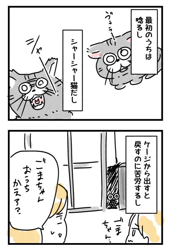 うちの人慣れしてない猫を紹介します。 詳しくはコチラ↓ https://amakarakossan.blog.jp/archives/35109116.html #エッセイ漫画 #にゃんにゃんにゃんの日
