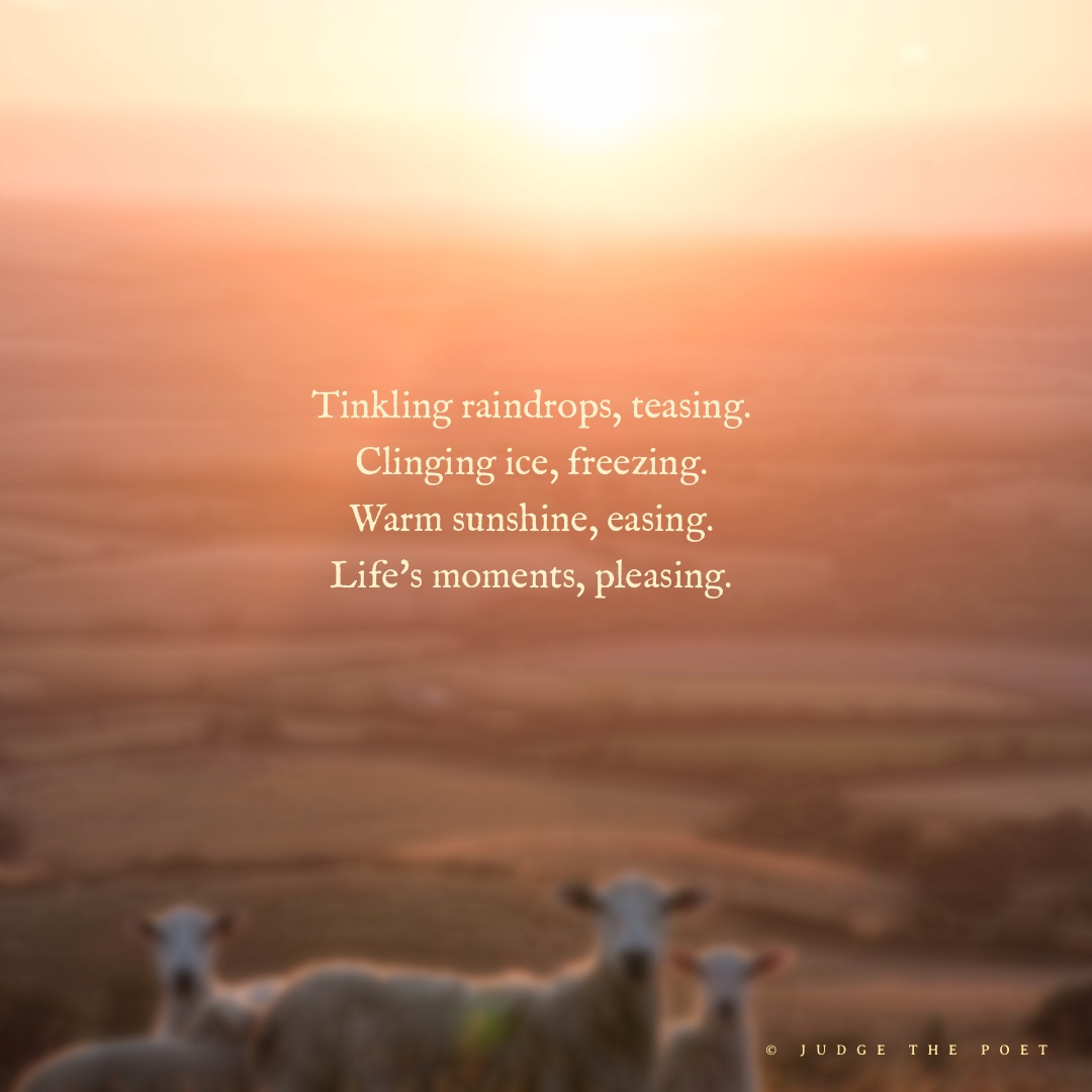 judgethepoet's tweet photo. #poem #twoem https://t.co/bPJv2sZacY