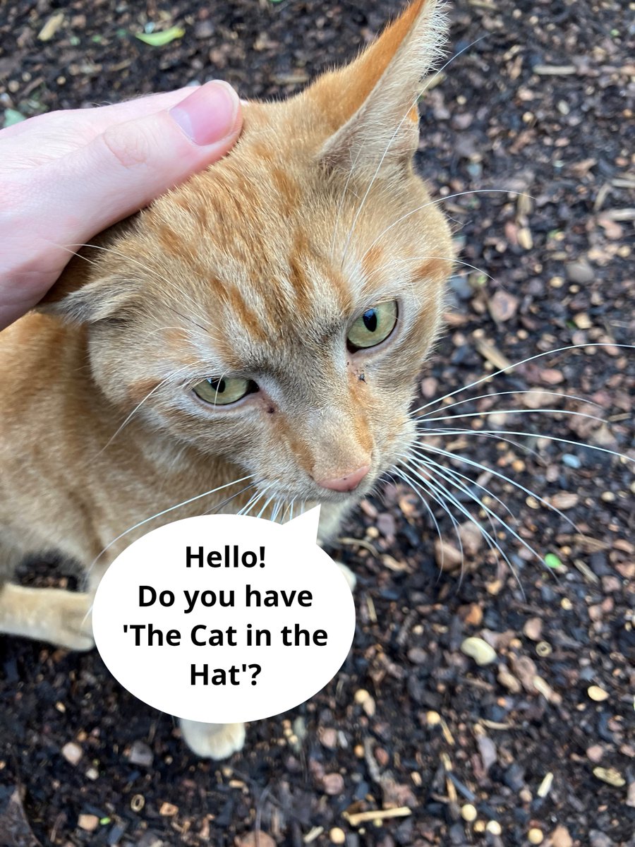 WFlibraries's tweet image. 😺We had another visit from the cat at #AiredaleLibrary. They wanted to read a new book...
#Cats #CatDay #libraries #bookstagram #librarycat
@WFmuseum