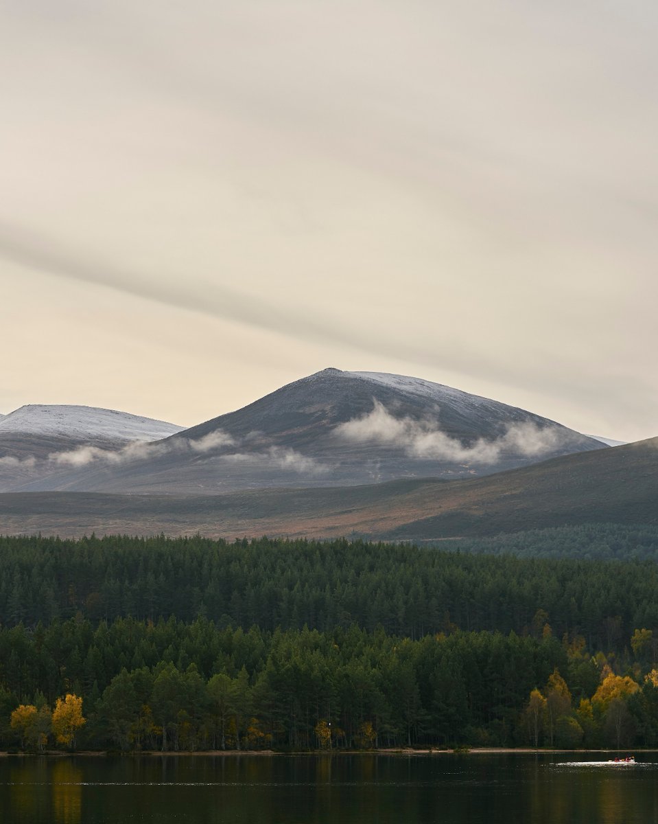 Forestry and Land Scotland tweet media