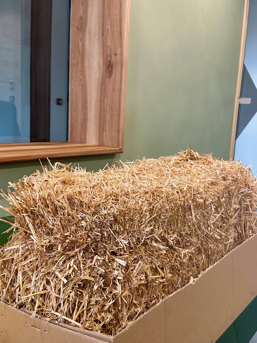An update from the EcoCocon headquarters. The situation in the office is... stable 🐎 A special prop for a special event taking place in a few weeks 😉