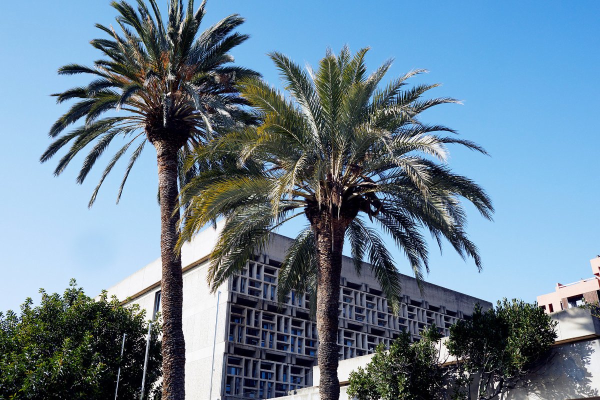 UB School of Economics (@ubeconomics) on Twitter photo <a href="/UniBarcelona/">Universitat de Barcelona</a> <a href="/Cristina_Belles/">Cristina Bellés Obrero</a> <a href="/luizmabr/">Luiz Brotherhood</a> <a href="/o_chiappinelli/">Olga Chiappinelli</a> <a href="/francoiscohen2/">Francois Cohen</a> <a href="/Aledechiara83/">Alessandro De Chiara</a> <a href="/DelaliberaBruno/">Bruno R. Delalibera</a> <a href="/matteogamalerio/">Matteo Gamalerio</a> <a href="/FundacioIEB/">IEB</a> <a href="/Energy_UB_IEB/">Chair of Energy Sustainability UB-IEB</a> <a href="/CREB_research/">CREB Research Group</a> <a href="/BEAT_Institute/">BEAT</a> <a href="/AQR_IREA/">AQR Research Group</a> <a href="/INOMICS/">INOMICS</a> <a href="/AEAInformation/">AEA Information</a> <a href="/AEEmedia/">AEE</a> <a href="/SCE_IEC/">Societat Catalana d'Economia</a> ✅ Stay tuned for further announcements on additional calls for funding.
👥 Our admissions team is available to guide admitted students seeking financial assistance throughout the application process for funding. 🔚🧵 <a href="/UniBarcelona/">Universitat de Barcelona</a> <a href="/Cristina_Belles/">Cristina Bellés Obrero</a> <a href="/luizmabr/">Luiz Brotherhood</a> <a href="/o_chiappinelli/">Olga Chiappinelli</a> <a href="/francoiscohen2/">Francois Cohen</a> <a href="/Aledechiara83/">Alessandro De Chiara</a> <a href="/DelaliberaBruno/">Bruno R. Delalibera</a> <a href="/matteogamalerio/">Matteo Gamalerio</a> <a href="/FundacioIEB/">IEB</a> <a href="/Energy_UB_IEB/">Chair of Energy Sustainability UB-IEB</a> <a href="/CREB_research/">CREB Research Group</a> <a href="/BEAT_Institute/">BEAT</a> <a href="/AQR_IREA/">AQR Research Group</a> <a href="/INOMICS/">INOMICS</a> <a href="/AEAInformation/">AEA Information</a> <a href="/AEEmedia/">AEE</a> <a href="/SCE_IEC/">Societat Catalana d'Economia</a> ✅ Stay tuned for further announcements on additional calls for funding.
👥 Our admissions team is available to guide admitted students seeking financial assistance throughout the application process for funding. 🔚🧵