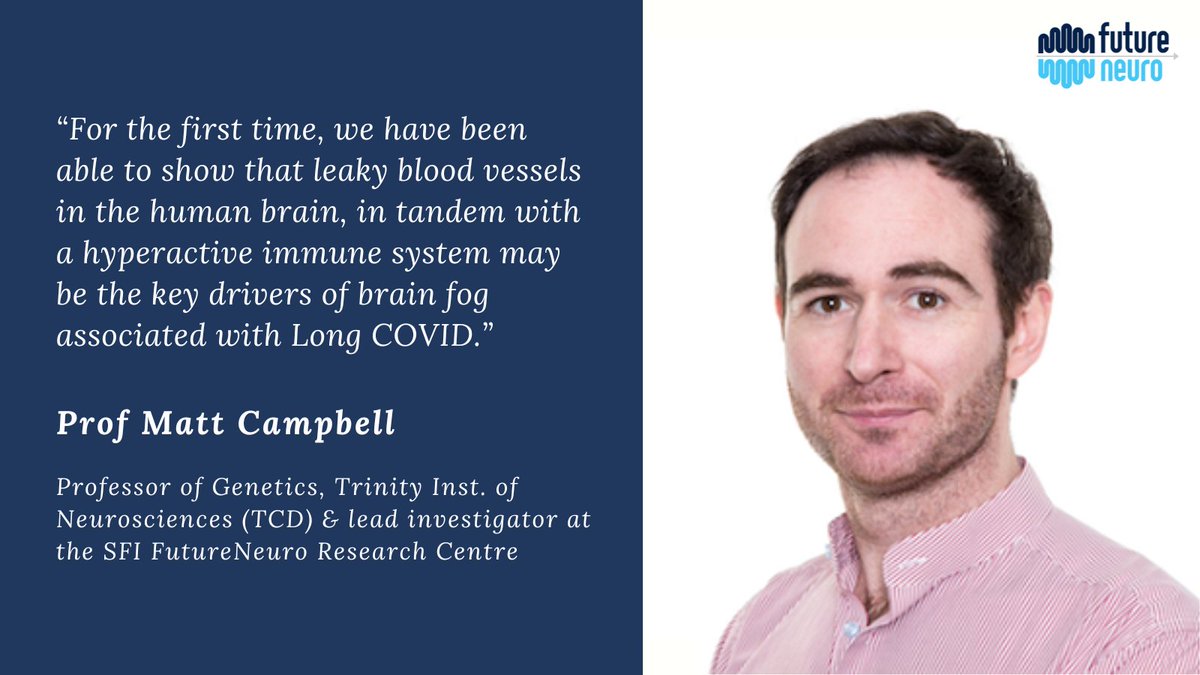 🔬 New collaborative research from @Futureneuro_ie reveals strong evidence linking the neurological impact of Long COVID to blood-brain barrier (BBB) damage. @mattcampbelltcd @gastaut @scienceirl @tcddublin