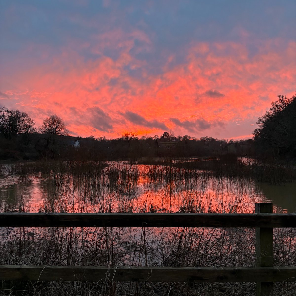 A fiery sky reflected in the water at Queens Marsh last night. The marsh is by the accessible to all footpath that leads from Totnes to @DartingtonTrust. It's a great place to spot birds, with heron, geese and even kingfishers putting in a regular appearance. #sunset #devonwalks
