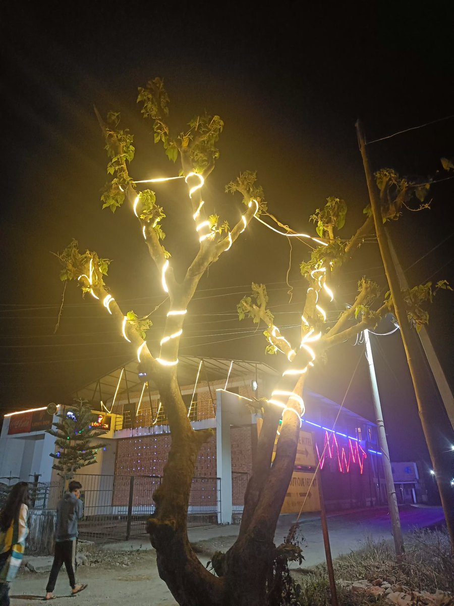 Samratgtm's tweet image. #sauraha