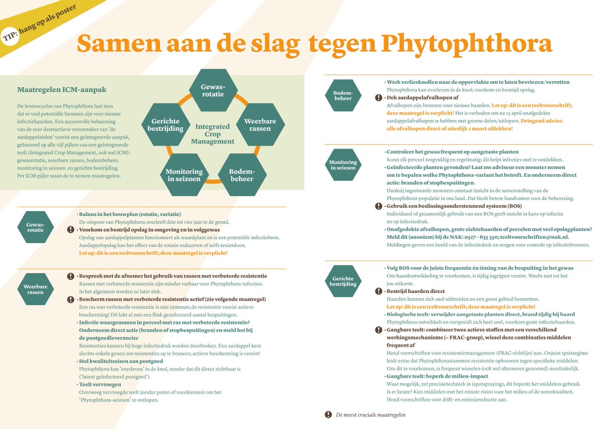 KENNIS 🌱 | Gisteren viel de folder ´Samen aan de slag tegen Phytophthora´ met @AkkerTweet op de mat bij 6.450 akkerbouwers. Maximale inzet van alle ketenpartijen is nodig om #Phytophthora met succes te beheersen. Lees de maatregelen die jij kunt nemen 👇 nieuwe-oogst.webinargeek.com/samen-aan-de-s…