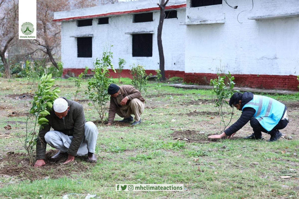 Mirpur Flourishes with Fruit Trees Planted Under Muslim Hands Climate Action Program, Nurturing Nature's Bounty for a Greener Tomorrow. Together, We Sow the Seeds of Change.
#MuslimHands #mhclimateactions #ClimateChallenge #ClimateAction #SustainableFuture #CommunityEngagement