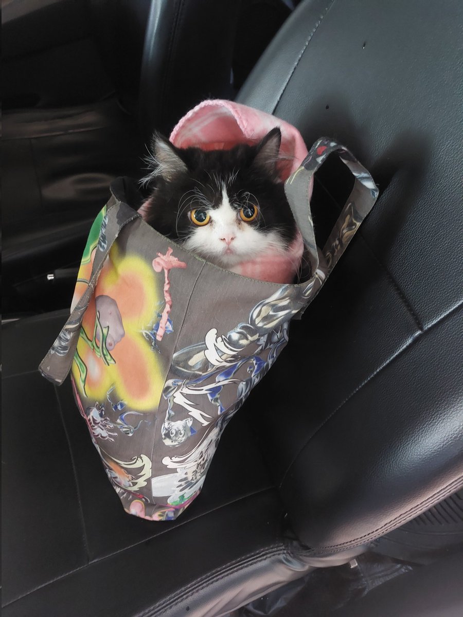 미원 Miwon FIP Survivor tweet media