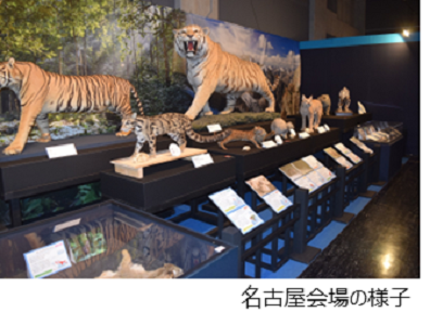 Evenear's tweet photo. 【2/22は猫の日】ふれあい、アート、学びまで。面白い『ネコイベント』特集

https://t.co/sJC728vw09

#猫の日 #猫 #イベント https://t.co/sZeD20LZck