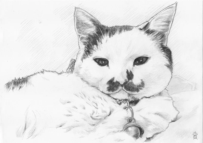 #猫の日 なのでここぞとばかりに猫の過去絵を再掲します✍️😸
こちらもココナラからのご注文🐾
「ω」の部分の黒模様が可愛いです♪
#猫の日2024  #猫の日イラスト #鉛筆 #鉛筆画 #鉛筆イラスト #にゃんこ #にゃんこの日 #にゃんにゃんにゃんの日 
