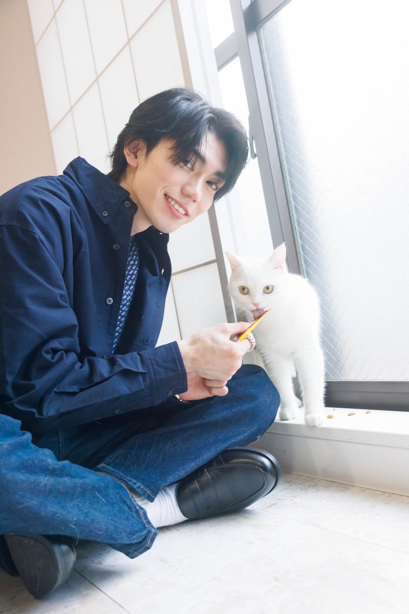 Post by 樋口幸平 on X: #猫の日