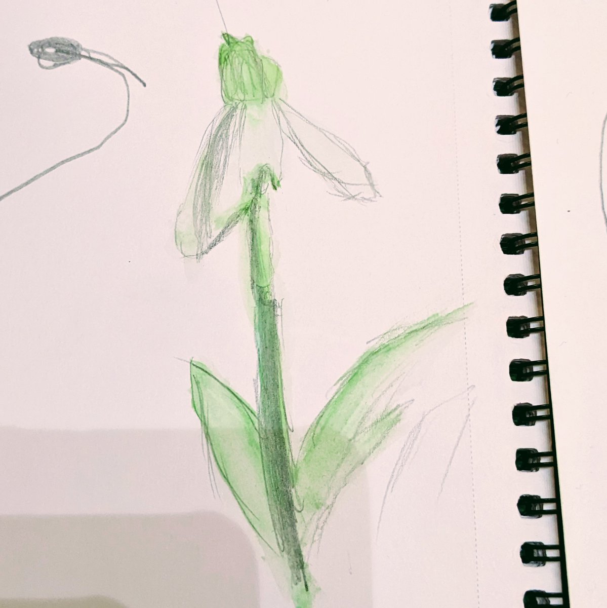 Last week we celebrated spring and the return of flowers. We looked at the poem 'flowers' did some creative writing, line drawings and a bit of painting. @boltongpfed @WoodlandTrust #snowdrops #artforwellbeing #greenarts #mentalhea