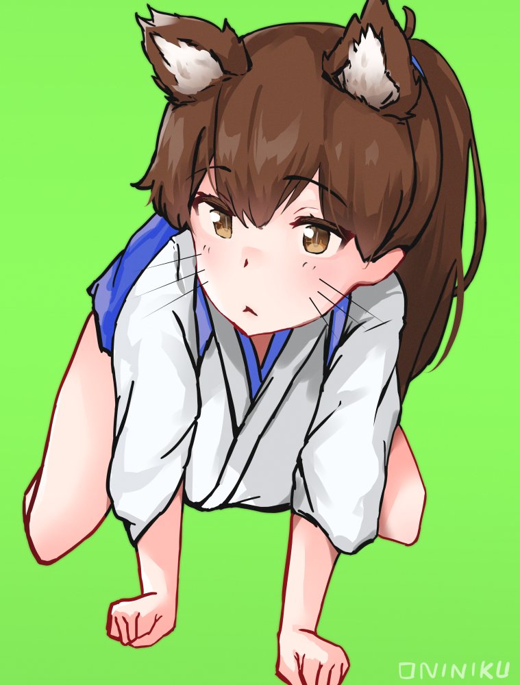 kaga (kancolle) 1girl solo animal ears brown hair brown eyes japanese clothes whiskers  illustration images