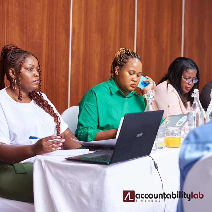 We are part of the deliberations on the Mutapa Investment Fund. The policy note is being convened by Accountability Lab Zimbabwe with an aim to improve accountability and democratizing the fund. The Mutapa Investment Fund was amended and rebranded from the Sovereign Wealth Fund.
