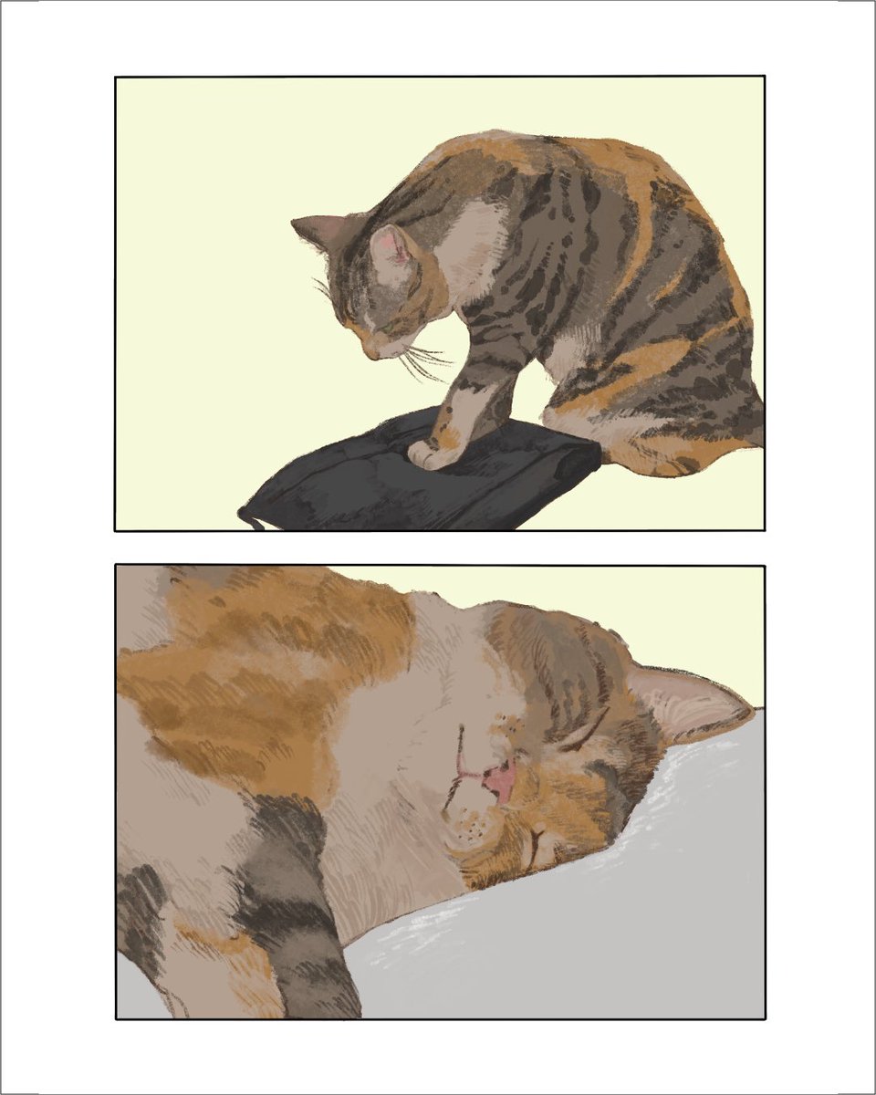 スー/COMITIA【F36a】 tweet media