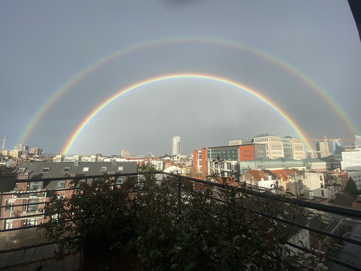 Nu in Brussel. Helemaal echt.
